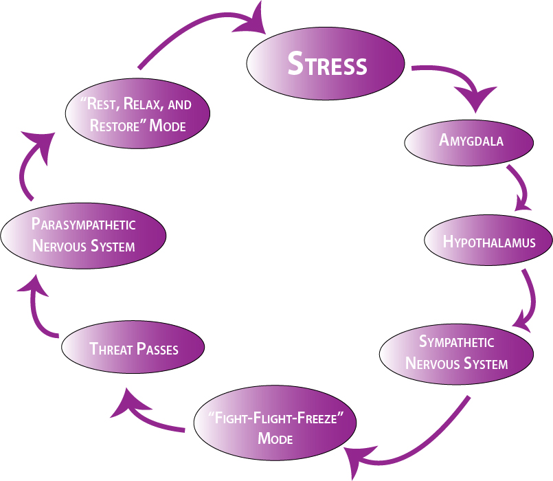 Stress Diagram1